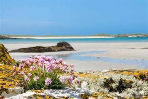 Wild Atlantic Stay Guest House Self-Catering Inverin Экстерьер фото
